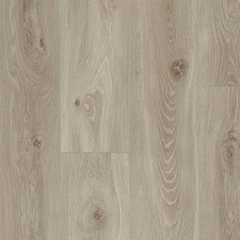 Ocean+ Bloom Light Natural 62003051