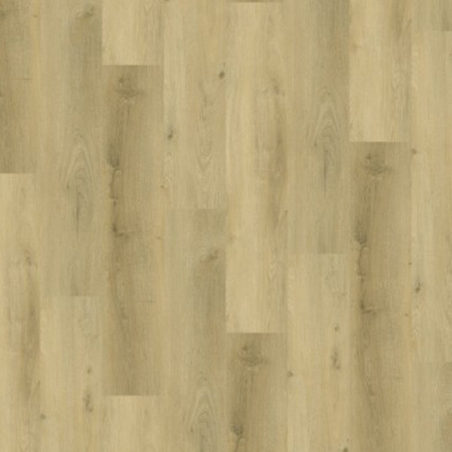 Click Vario Prestige Oak Light 5904