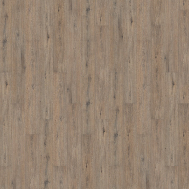 Lijmstrook Saphir Plus Eiken Oestergrijs 284220602