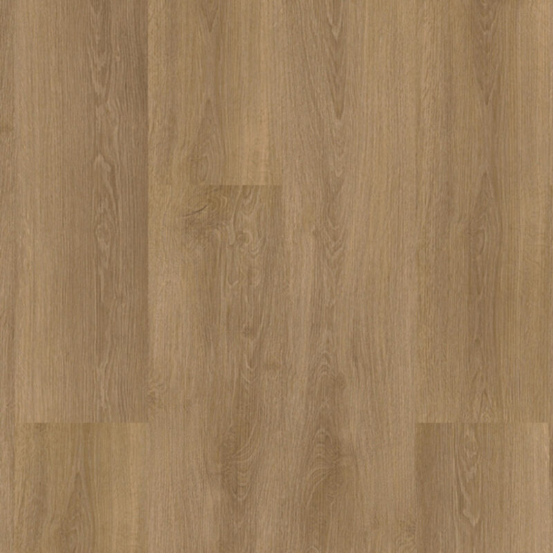 Lijmstrook River Oak Danube 63022