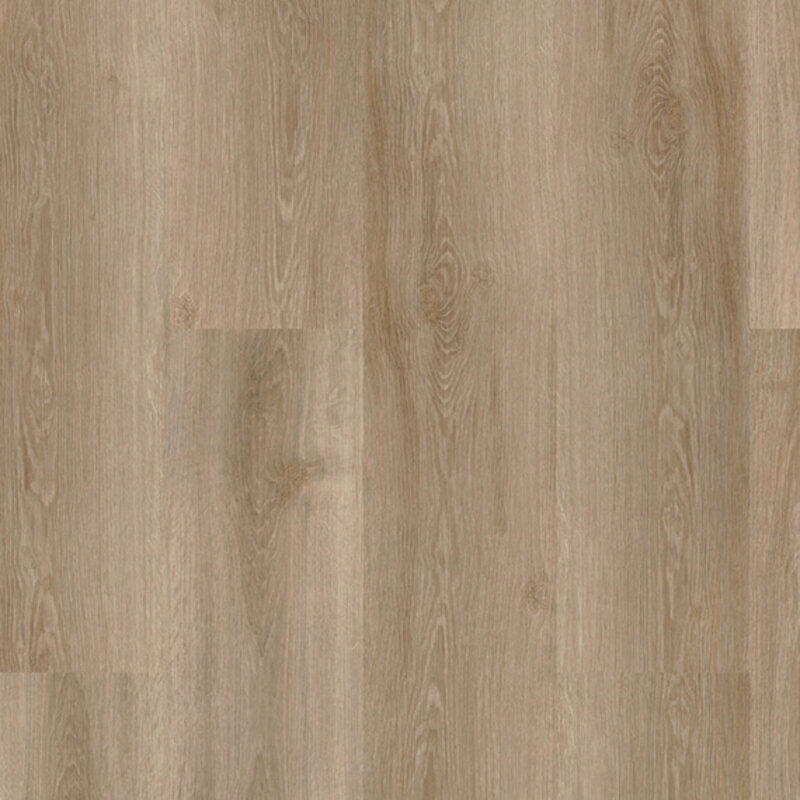 Lijmstrook River Oak Douro 63025