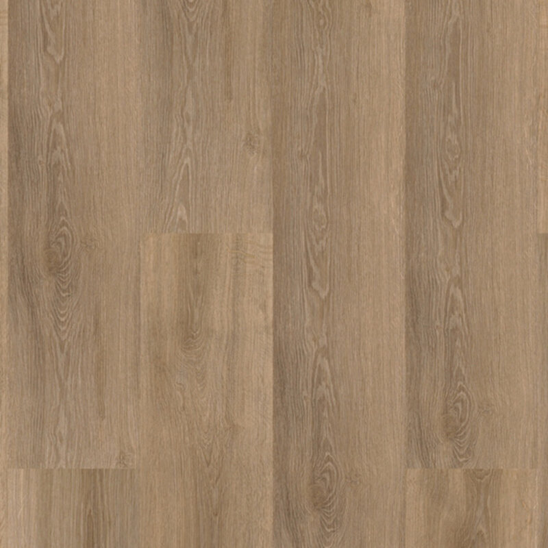 Lijmstrook River Oak Volga 63024