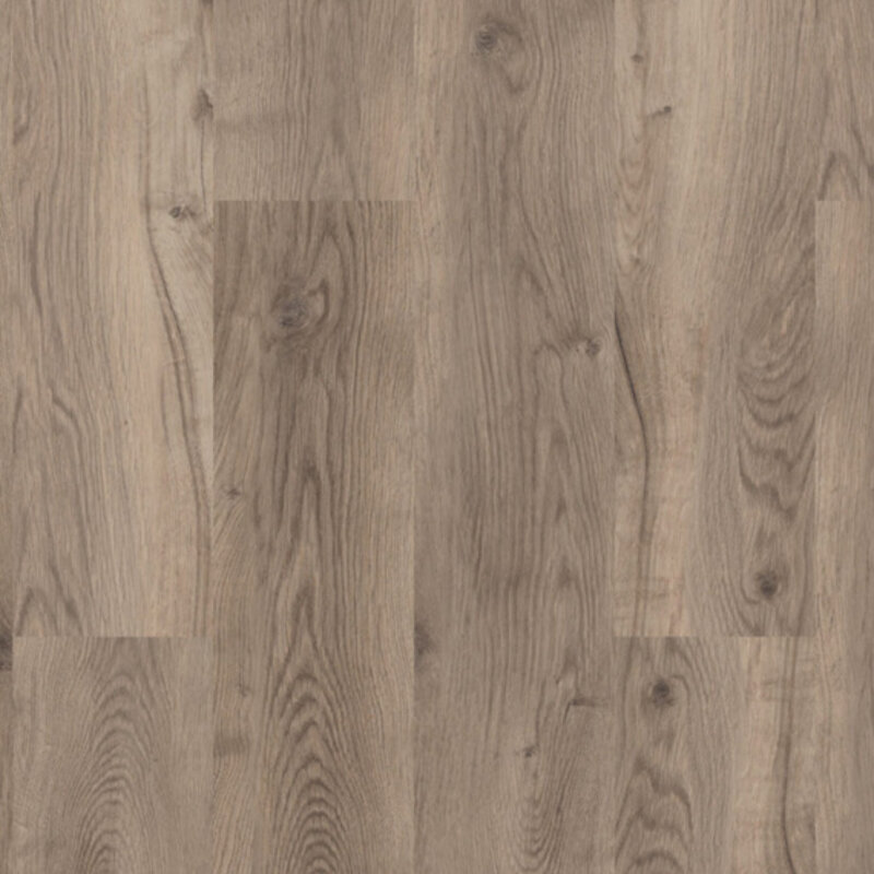 Lijmstrook Bramber Chestnut Miglio 81611