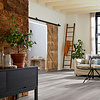 Lijmstrook Broad Leaf Grey Sycamore 41828