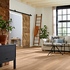 Lijmstrook Broad Leaf Pure Sycamore 41822