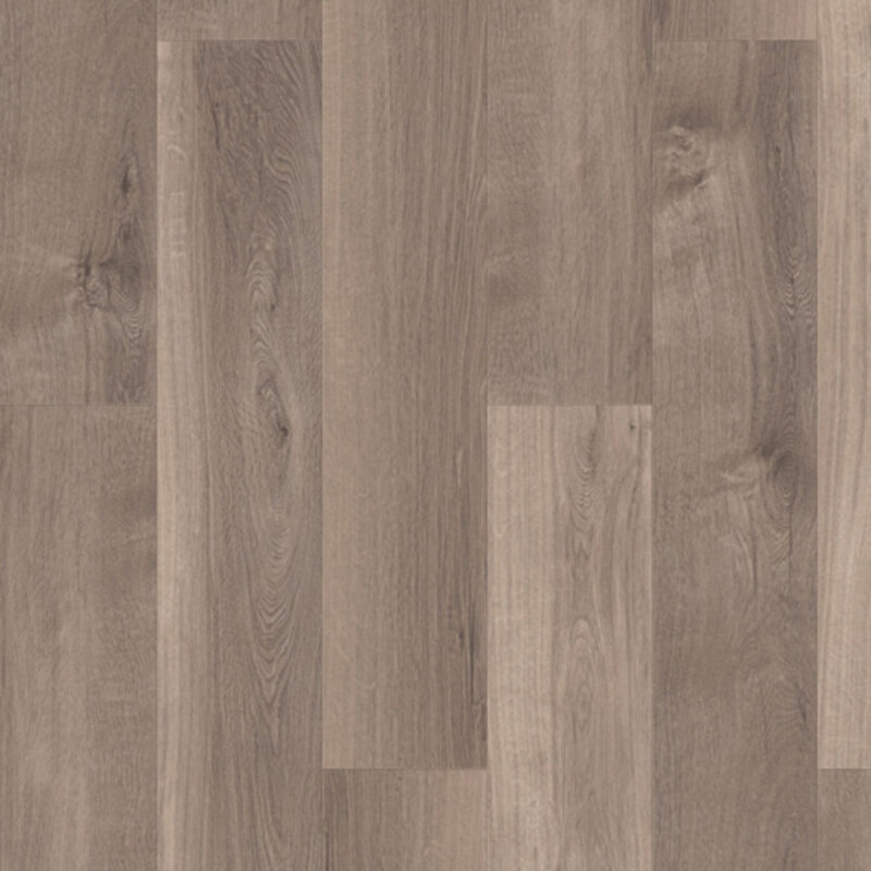 Lijmstrook Broad Leaf Smoky Sycamore 41817