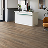 Lijmstrook Authentic Oak XL Calabria 56313