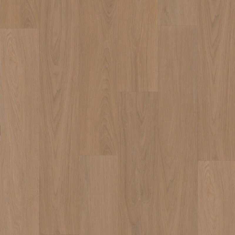 Click Eiken Bologna 7880