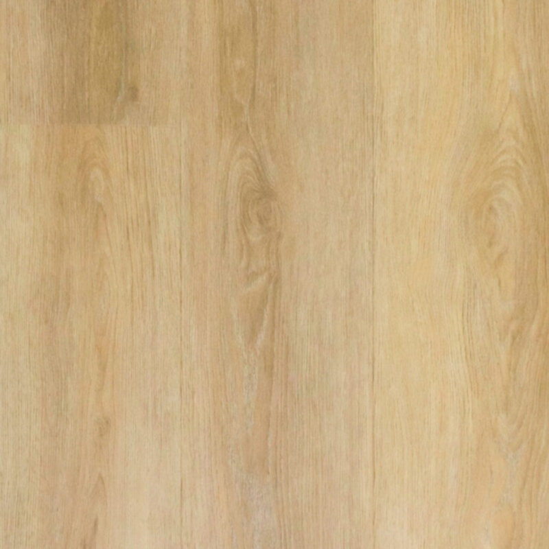 Lijmstrook Non PVC Balance 3616