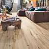 Click Next DD 500 S Eik Lakeside 6990
