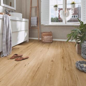 Click Ridgid RD 300 S Eik Springdale 7395