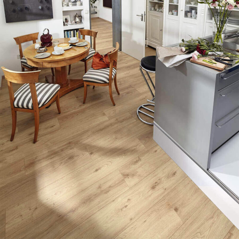 LD 150 Eik Chiemsee Licht 06376