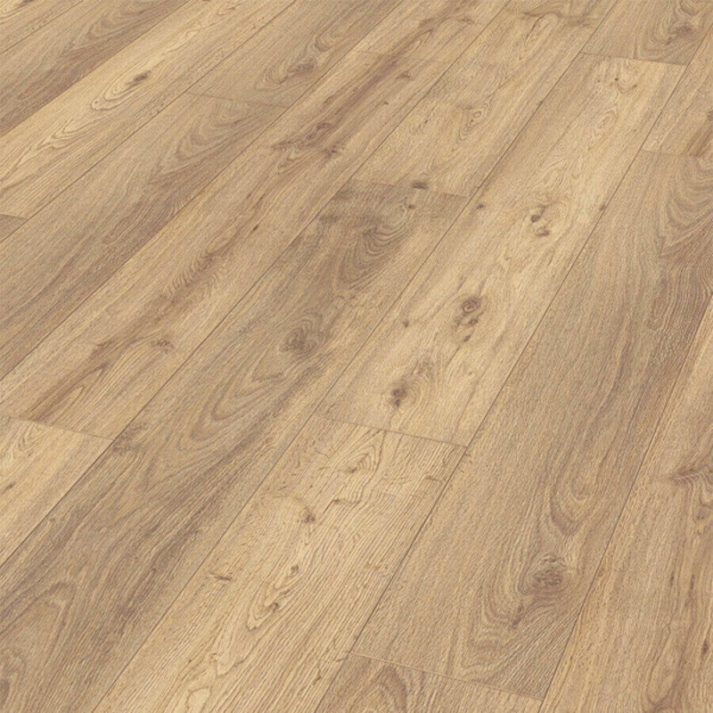 LD 150 Eik Chiemsee Licht 06376