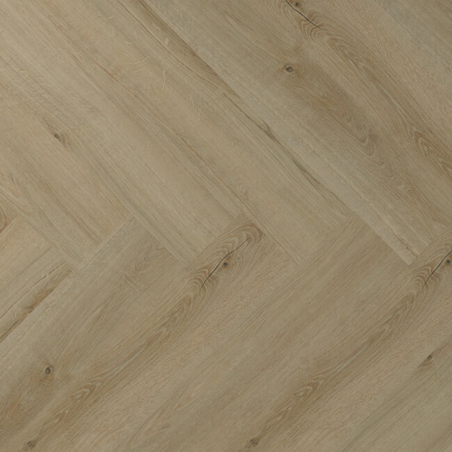 Lijmstrook Clermont Visgraat XL 77823