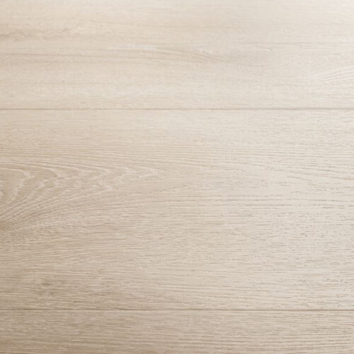 Montinique Click Progress XL 55817