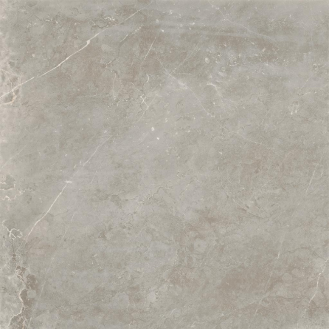 Evostone Mist 40 x 80 cm