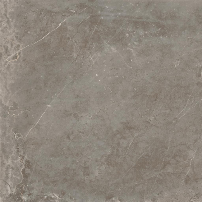 Evostone Natural 80 x 80 cm