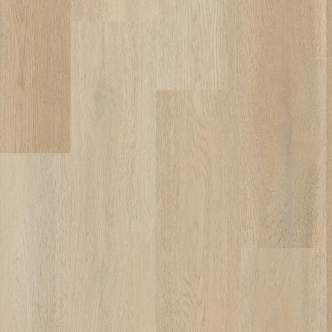 Lijmstrook Premier Serie 15082