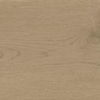 Ash Oak Matt 20 x 120 cm