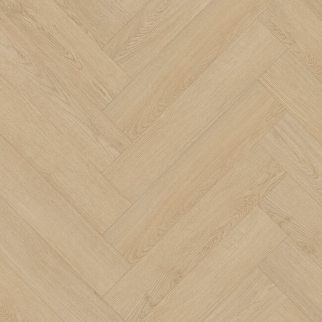 Lijmstrook Visgraat Monastro XL 92