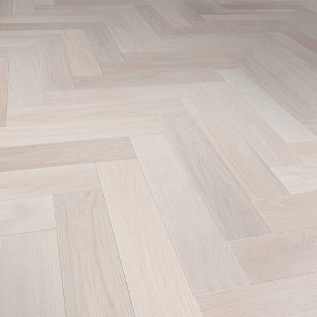 Visgraat Mist Prime 2014524