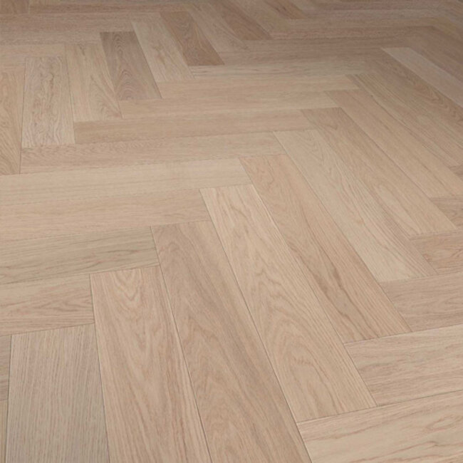 Visgraat Dune Prime 2014523