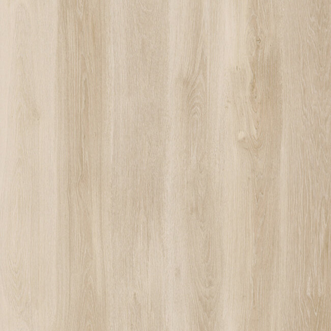 Lijmstrook Walk on Me 20603