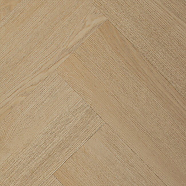Lijmstrook LS Visgraat Groot 55 8419