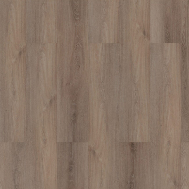 Lijmstrook Ambassador Oak Planks 555100103