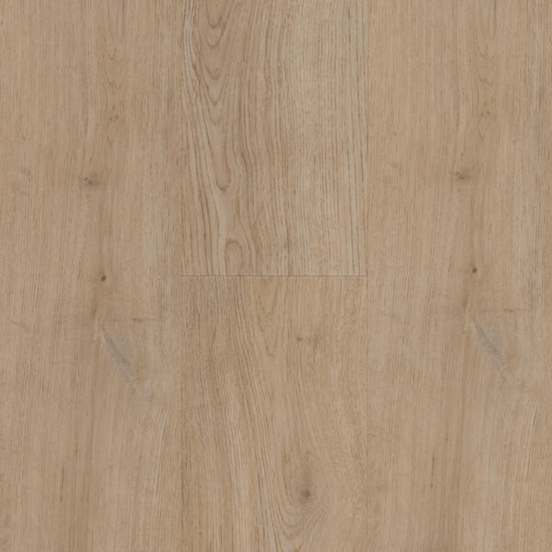 Click Zenn 55 Faro 60002237