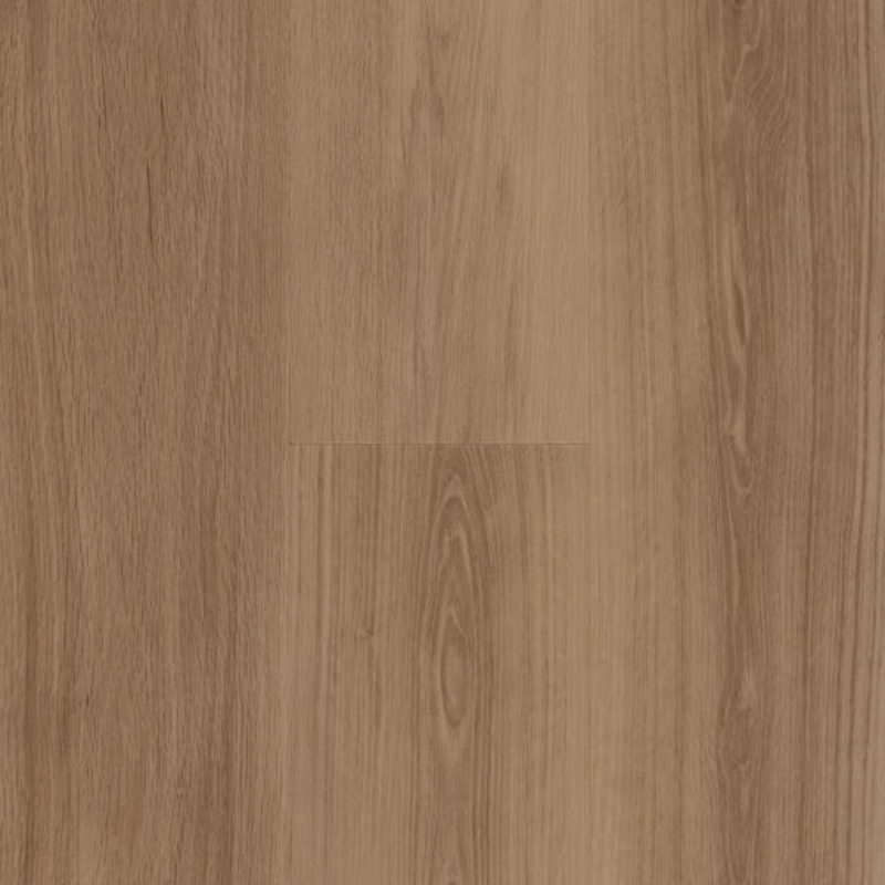 Lijmstrook Zen 55 Monsanto 60002251