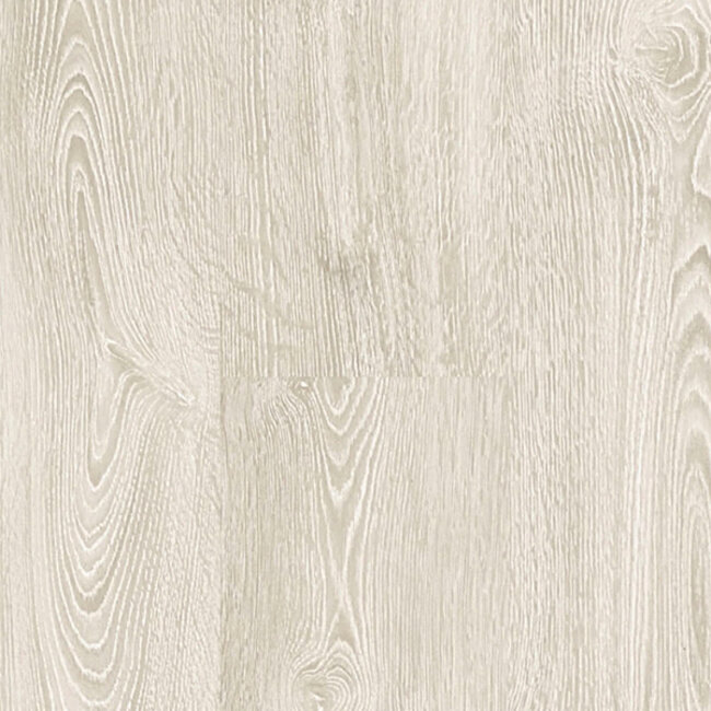 Rose Basic 60705
