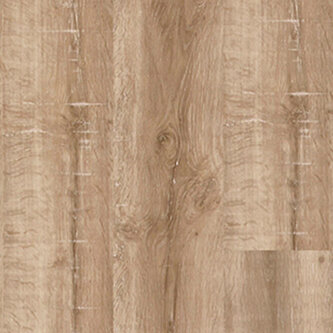 Rose 60957 Rose 60957