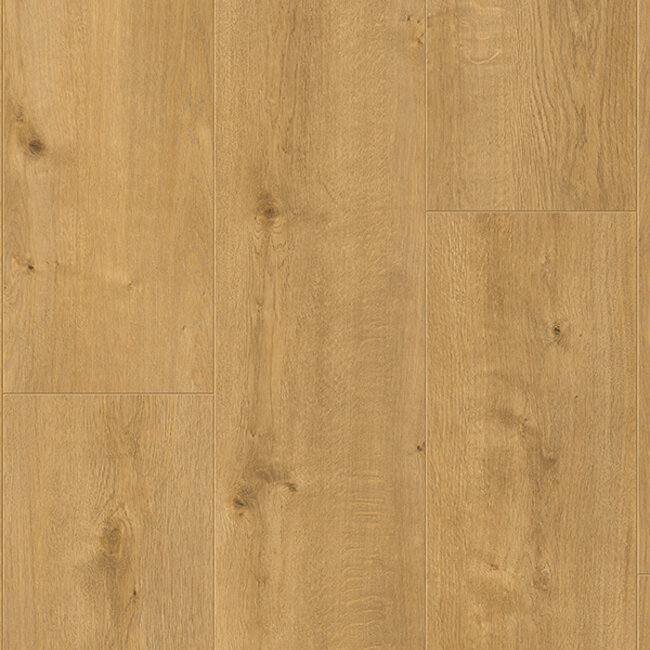 Rose Wide Hydro 5467