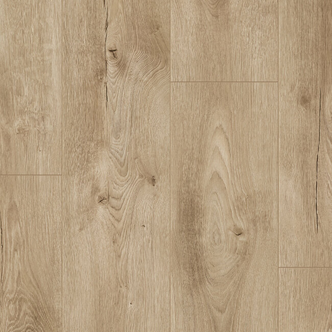 Rose Wide Hydro 5477