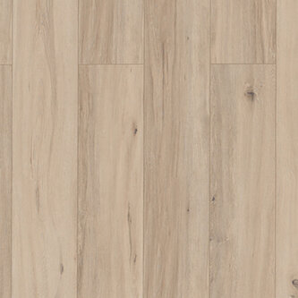 Lungo Bellevue 62960