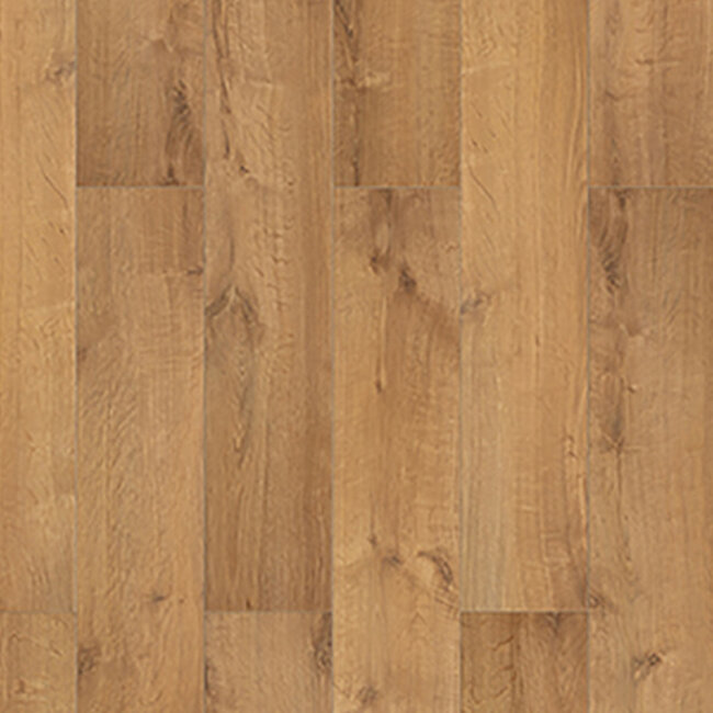 Lungo Amber Fort 62963