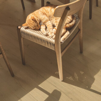 Click Alpha Rigid Bloom Geborstelde Beige Eik AVMPU40319