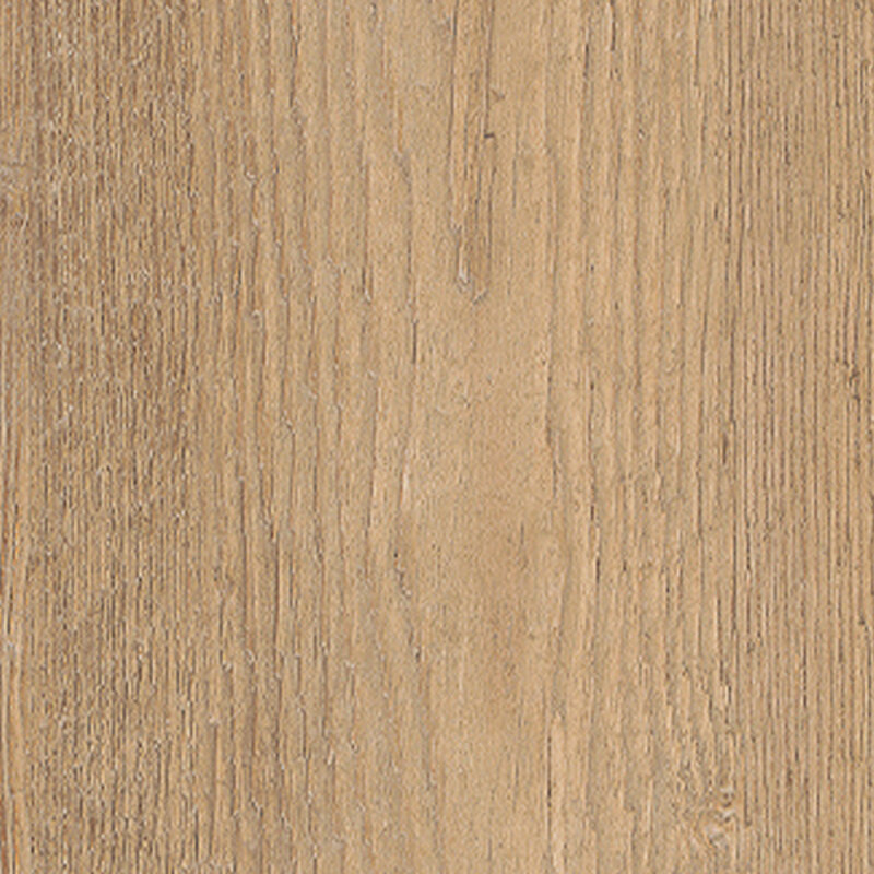 Walnut Matt 20 x 120 cm