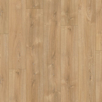 Puur Basilicum 3484