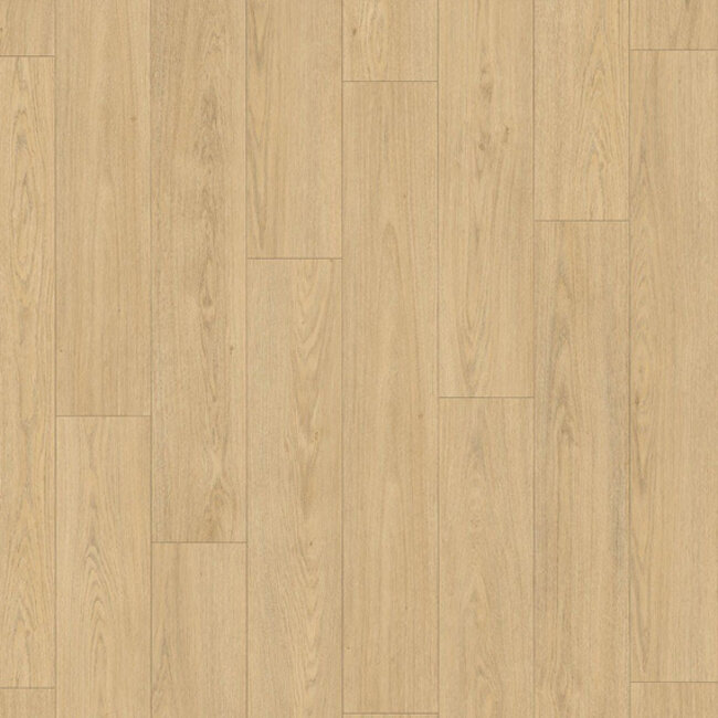 Symphatiek Truffel 3480