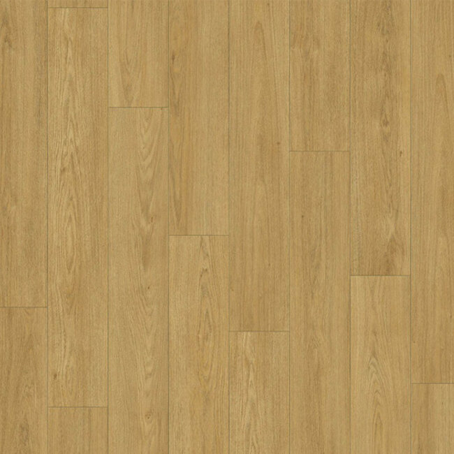 Sympathiek Kaviaar 03481