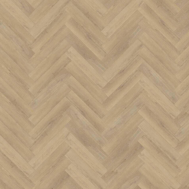 Click Visgraat Invisible