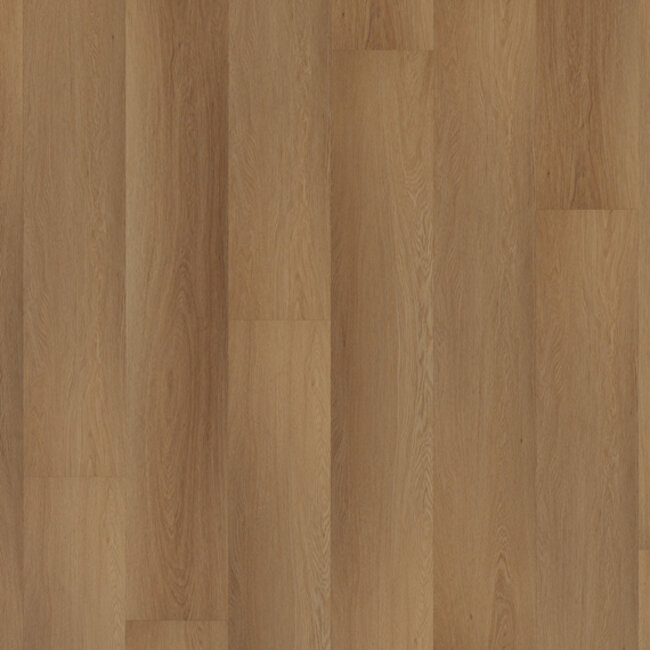 Lijmstrook Western Hemlock Planks 555100106