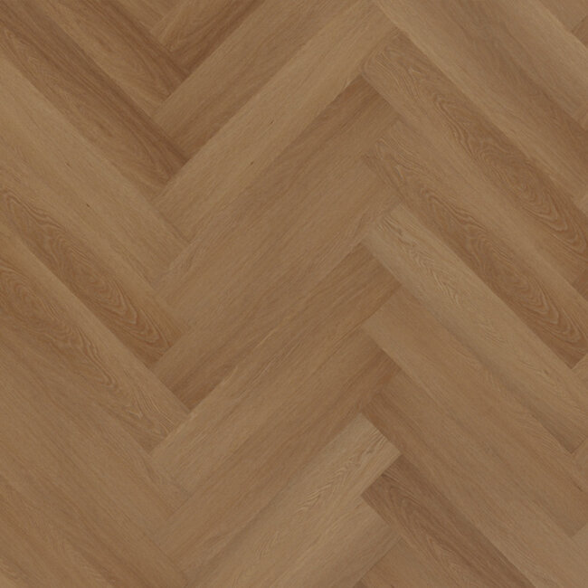Lijmstrook Visgraat Western Hemlock 555100206