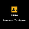 Parket Eiken Gelakt Rustiek 1011