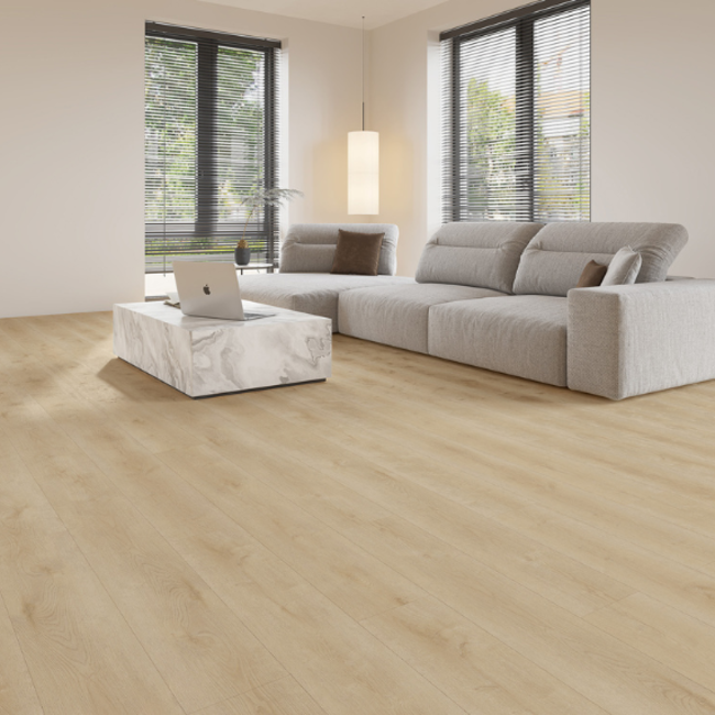 Lijmstrook Dynamic Natural Light 2500