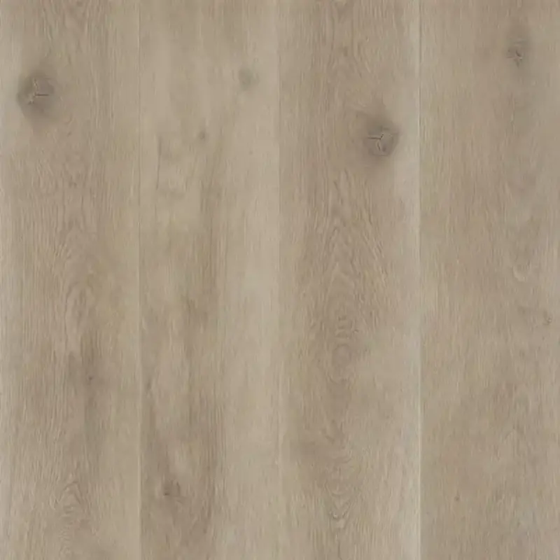 Lijmstrook Flexile 1200 Meadow 50 FLX 807