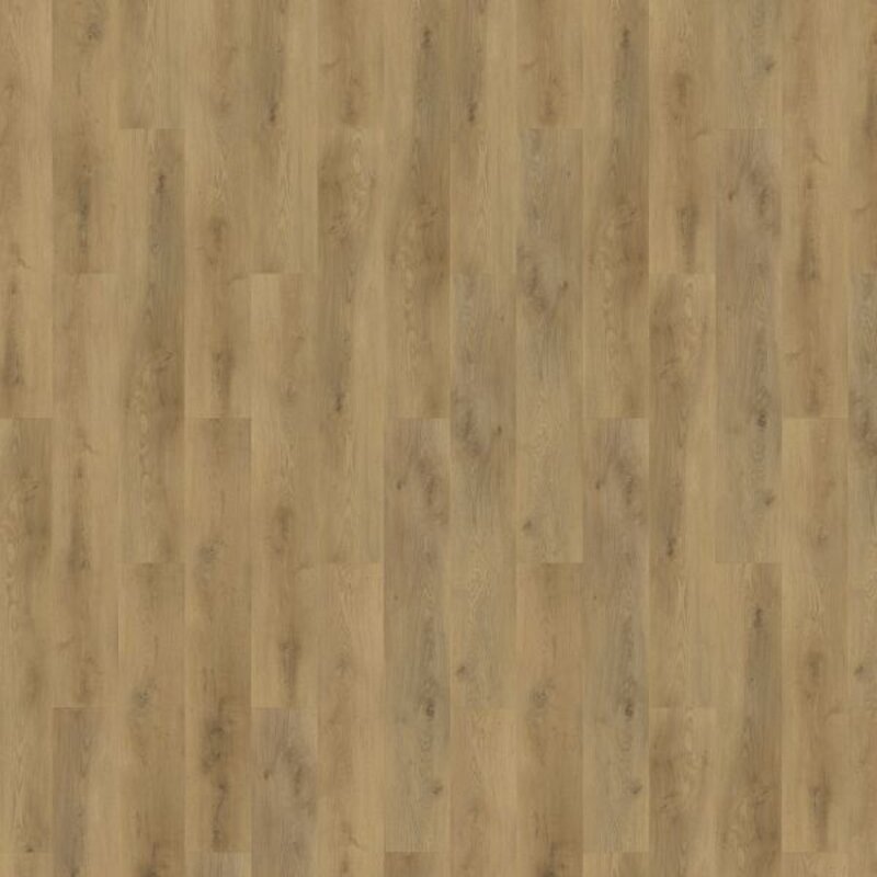 Lijmstrook Colton Ralph 62335