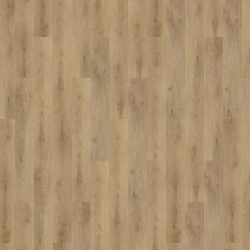 Lijmstrook Colton Tyler 62336
